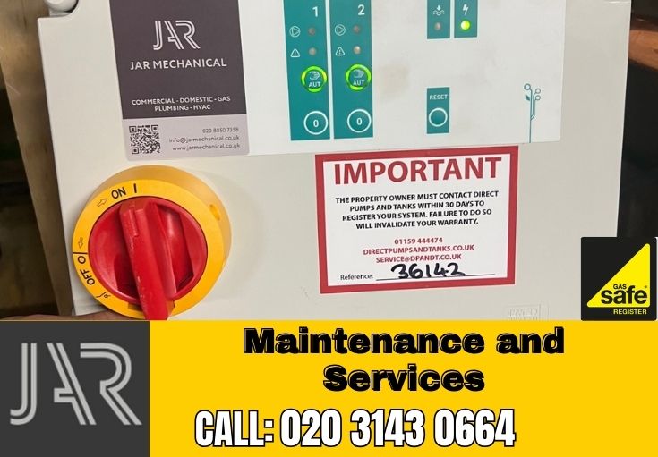 Domestic Maintenance and Services Pimlico